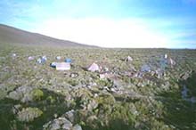 Shira Plateau Shira Plateau