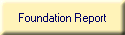 Foundation Report