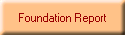 Foundation Report