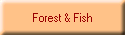 Forest & Fish
