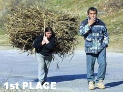 1st PLACE