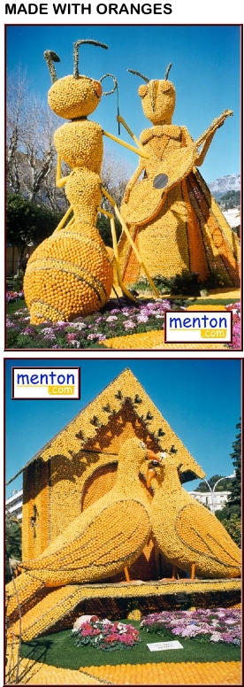 Oranges2