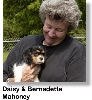 x0627Daisy