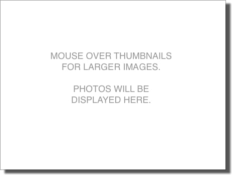 PhotosDisplayedHere450