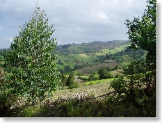 x1114Ethiopia