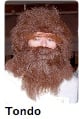 Reveille Image
