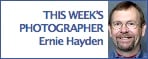 This Week's Photographer
