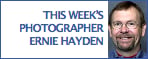 This Week's Photographer