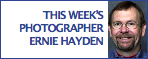 This Week's Photographer