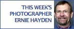 This Week's Photographer