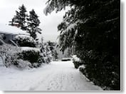 Reveille Image