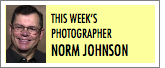 This Week's Photographer