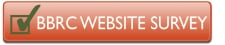 websitesurveyA