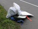 HwyCleanup1002-7