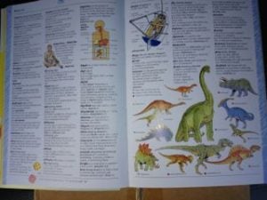 Dictionary inside